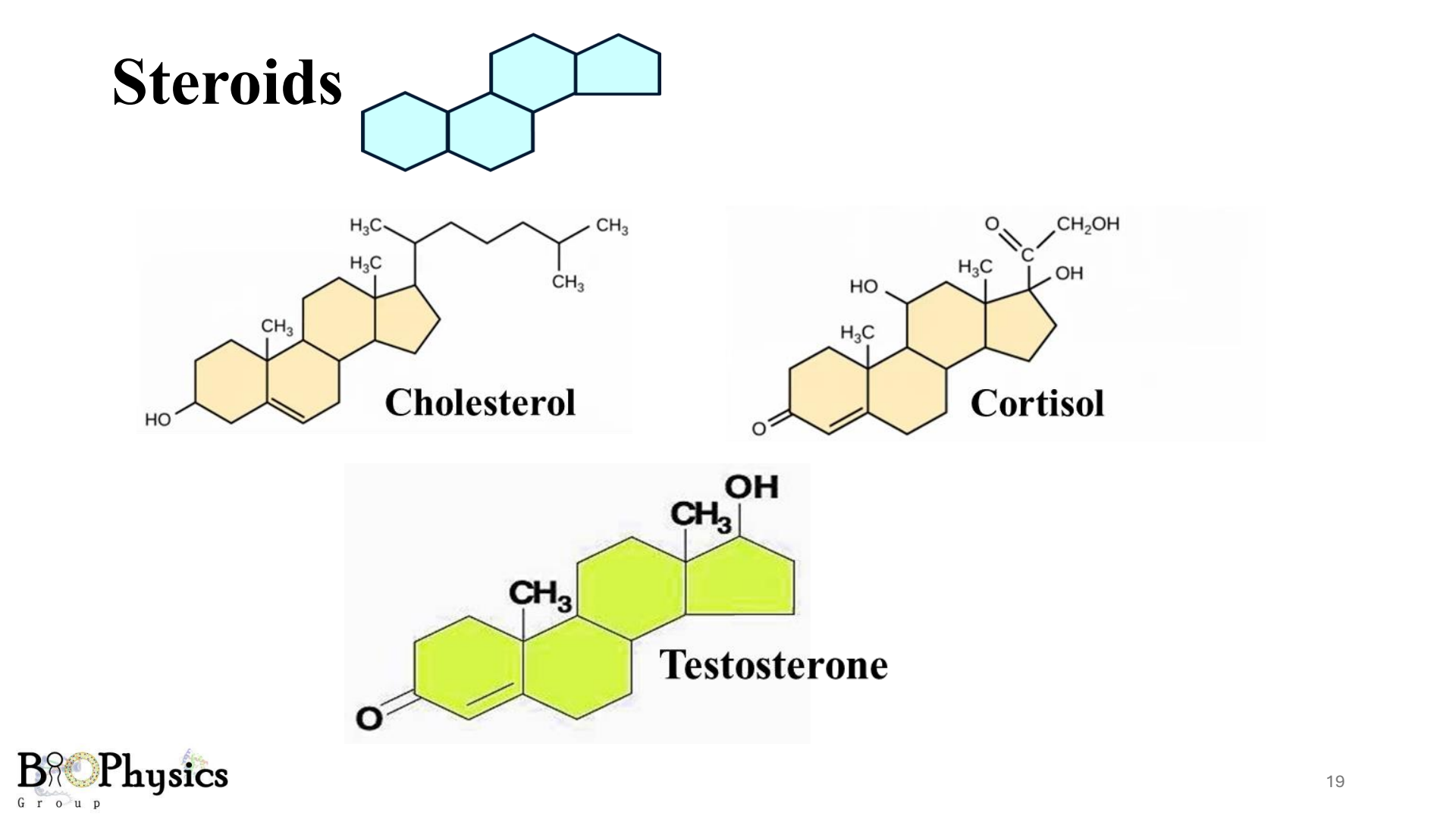 Steroids 4 rings structure