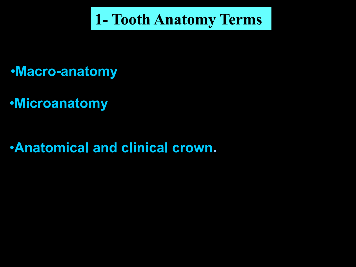 Tooth Anatomy Terms Overview