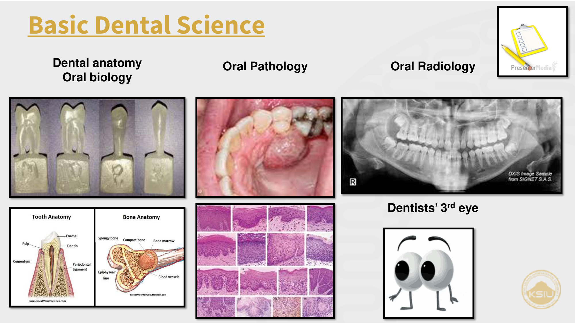 Basic Dental Sciences