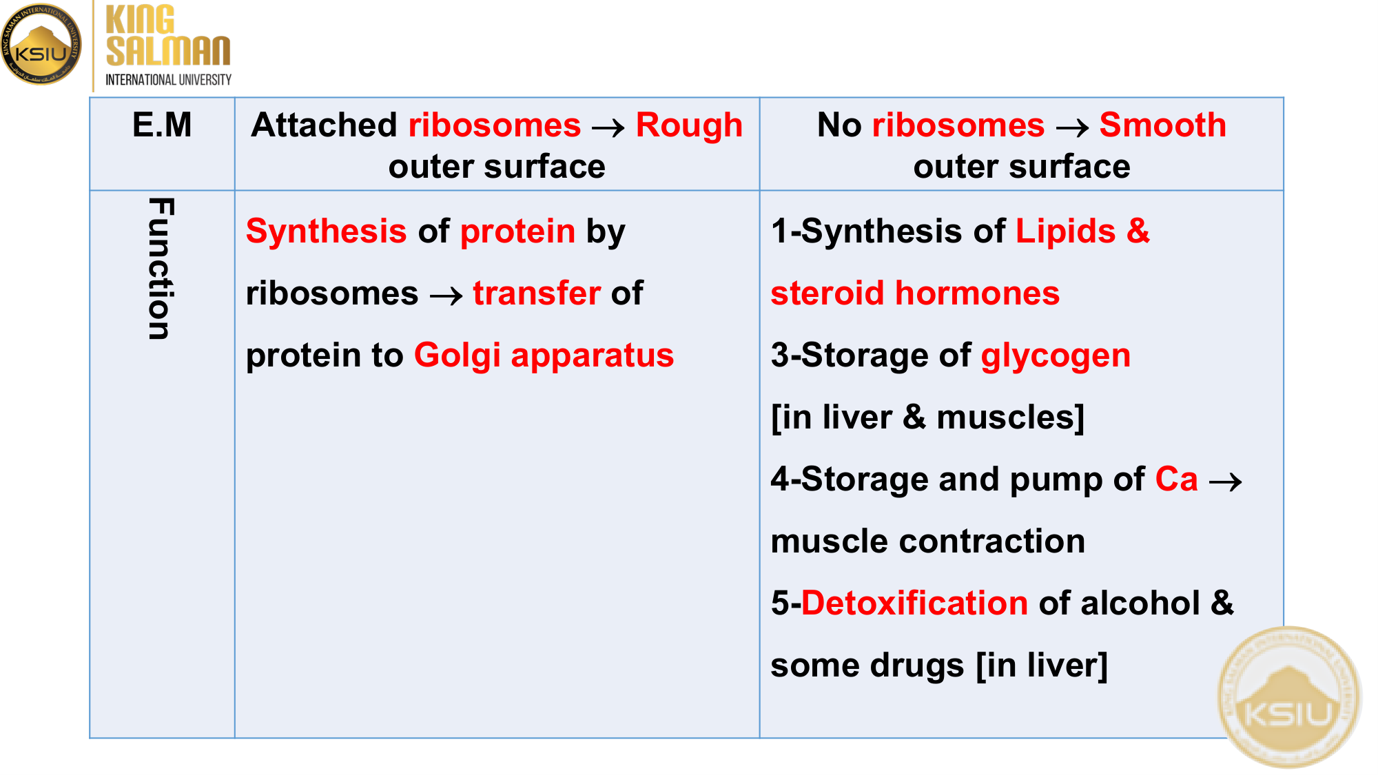 وظائف rER و sER - Slide 33