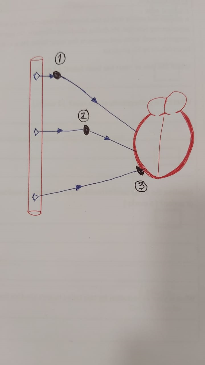 Autonomic Ganglia types